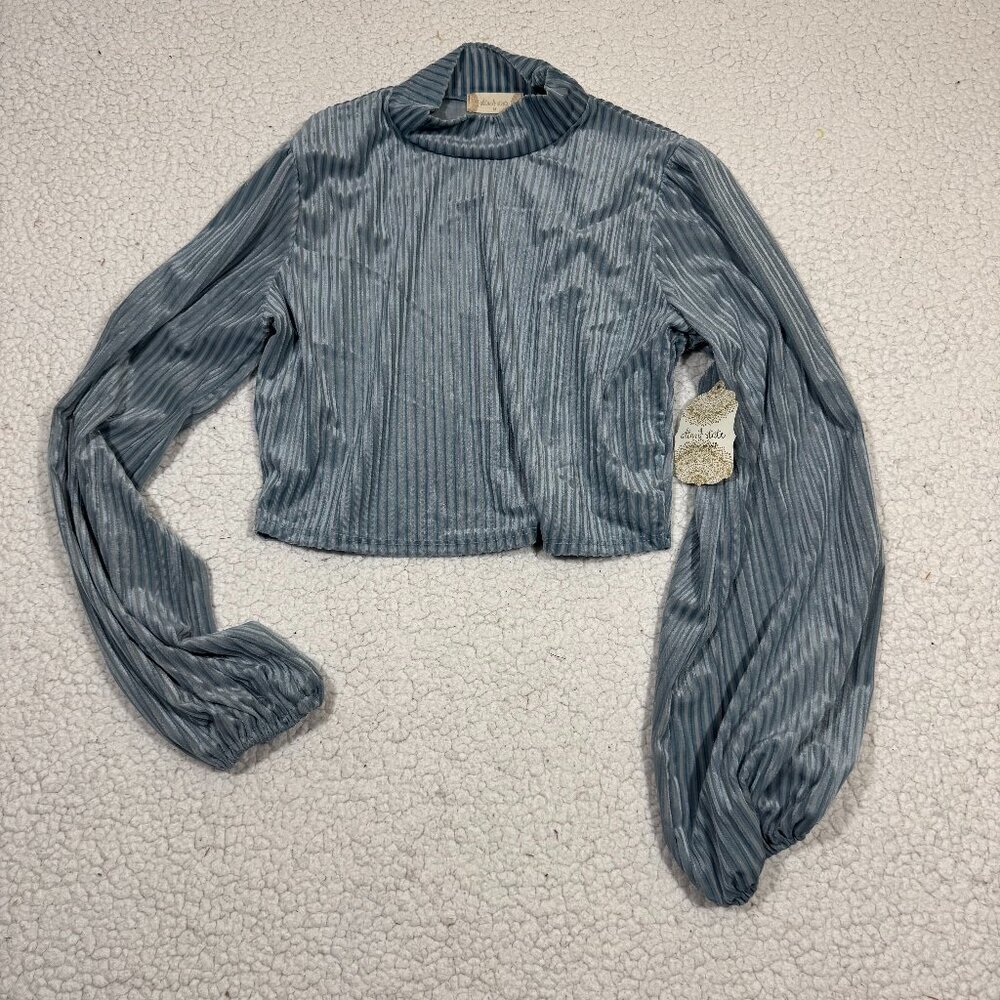 Altar'd State Women's M Velvet Ribbed Balloon Sleeve Crop Top Blue Boho Festival